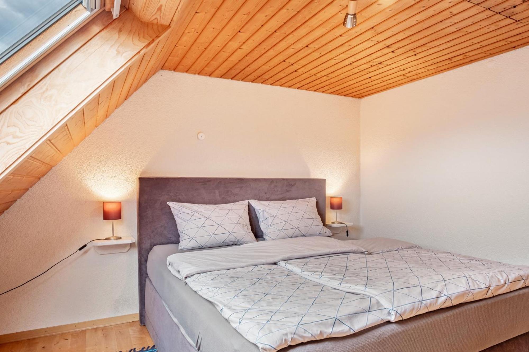 Appartement Lehen Freiburg im Breisgau Eksteriør bilde