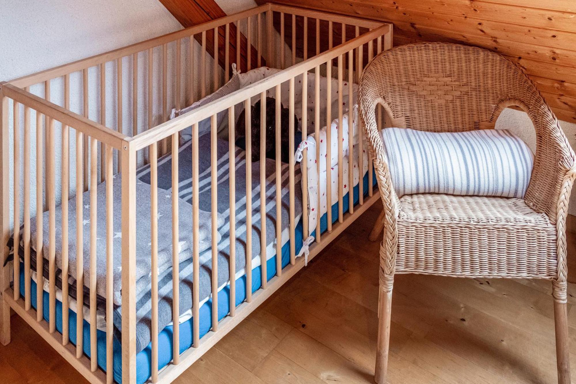 Appartement Lehen Freiburg im Breisgau Eksteriør bilde