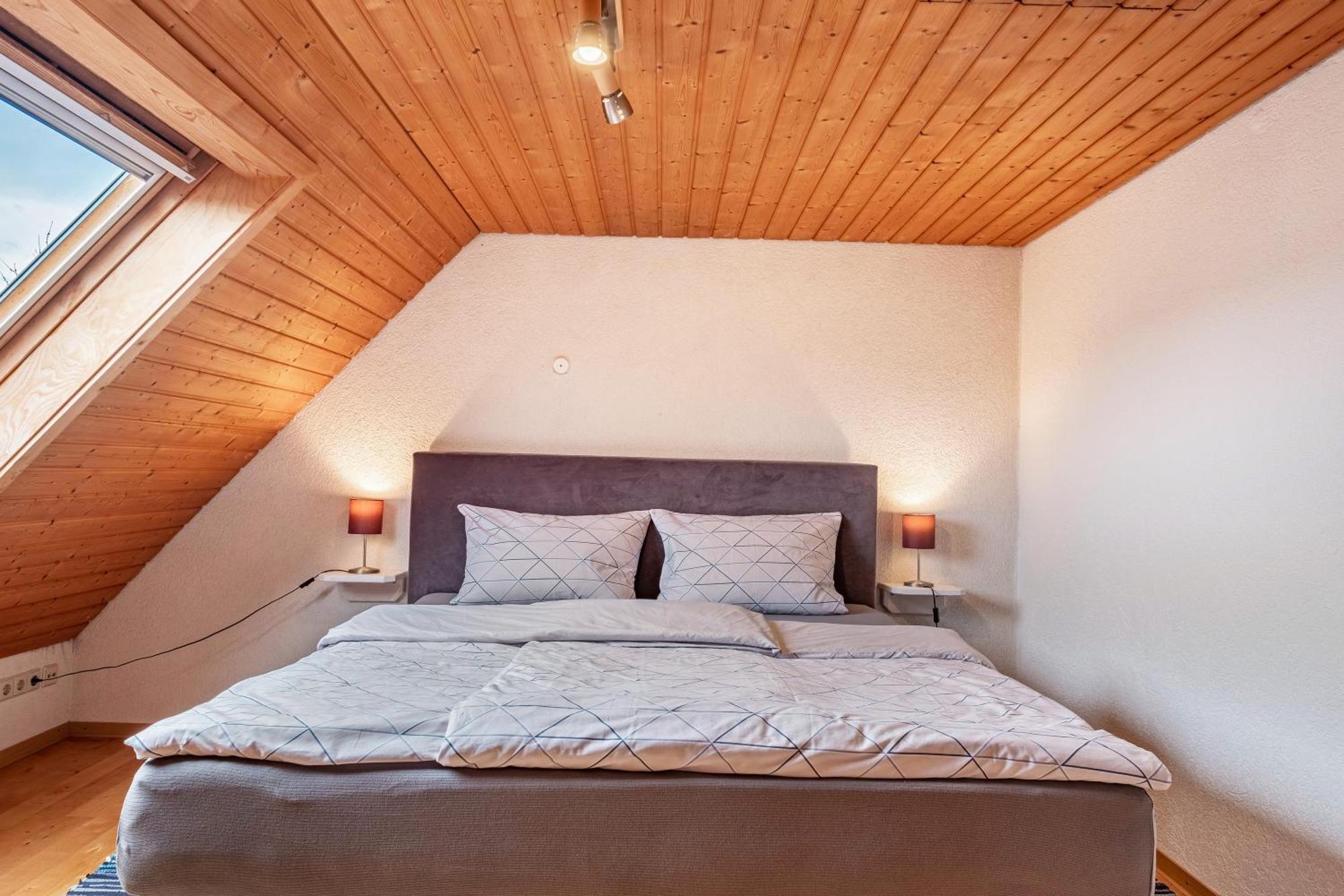 Appartement Lehen Freiburg im Breisgau Eksteriør bilde